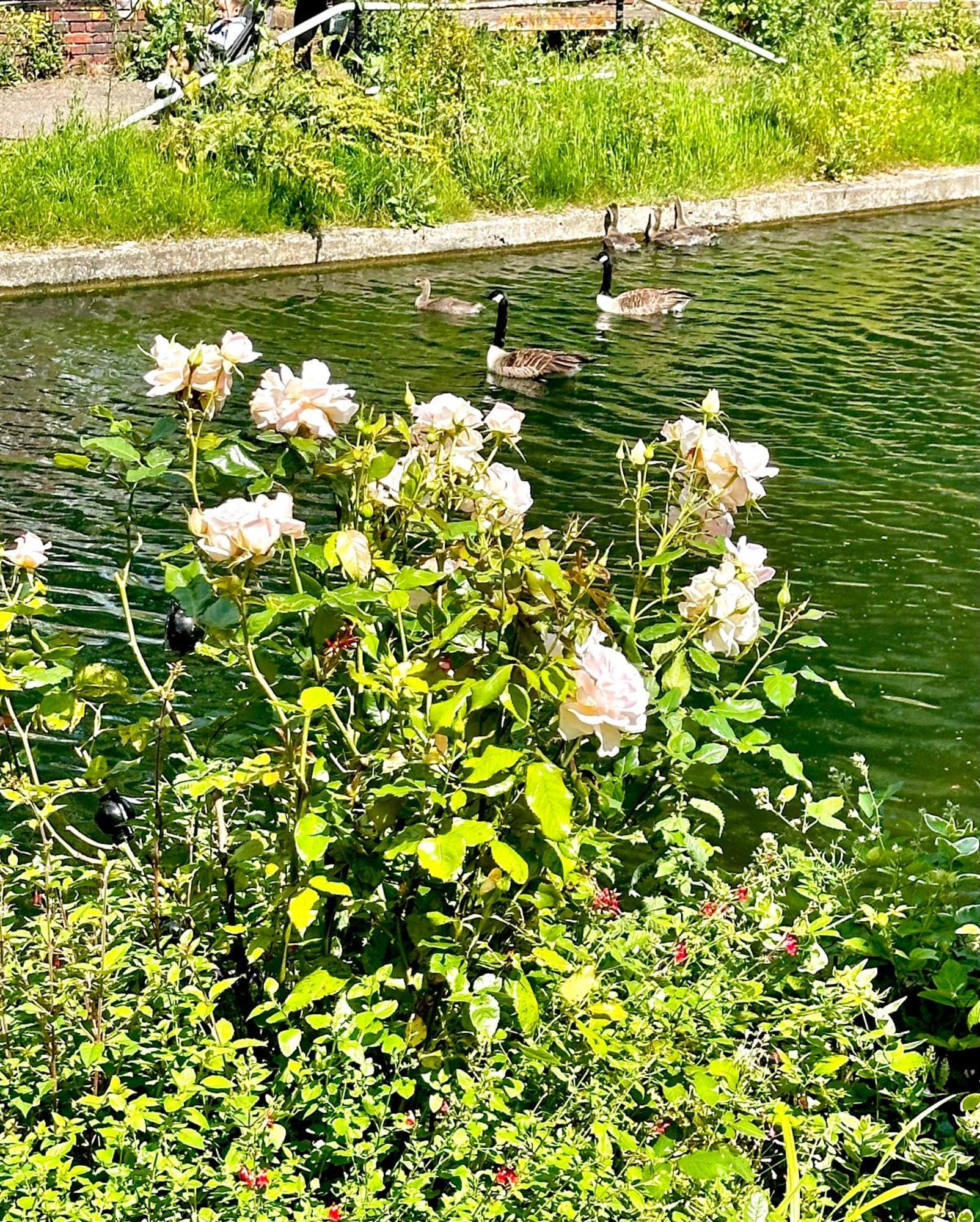 Amazing Location - City Of London- 2 Bedroom Stunning Canal View House With Private Garden,Parking & Balcony Londres Exterior foto